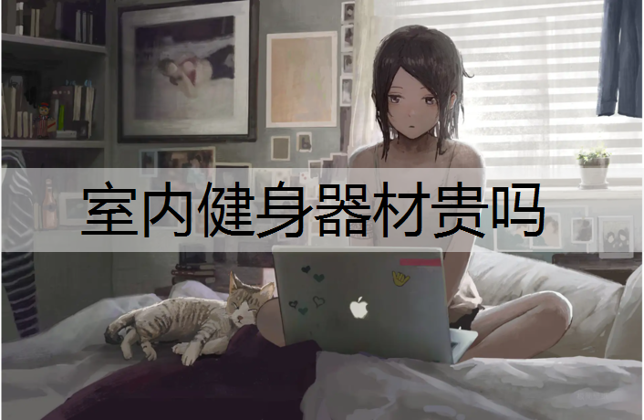 <strong>室内健身器材贵吗</strong>