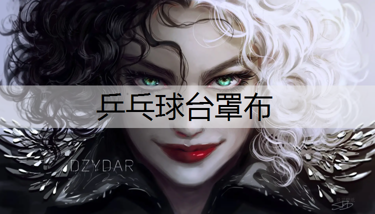 <strong>乒乓球台罩布</strong>