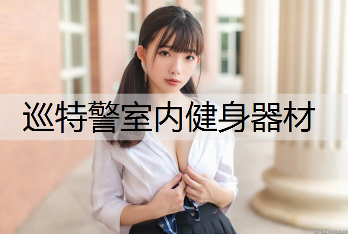 <strong>巡特警室内健身器材</strong>