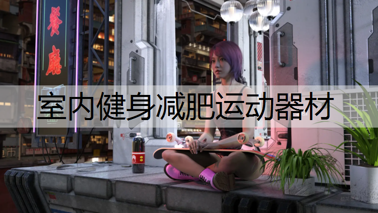 室内健身减肥运动器材