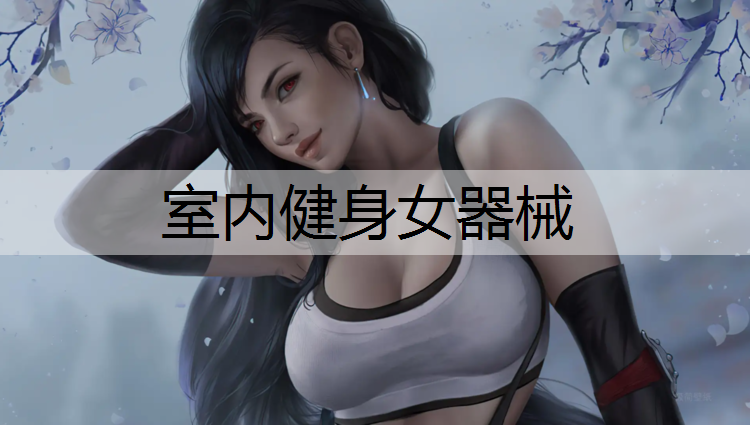 室内健身女器械