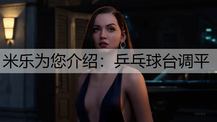 乒乓球台调平
