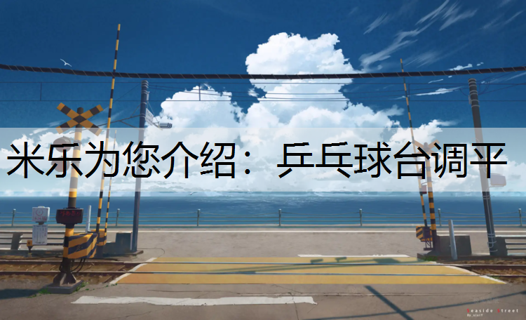 乒乓球台调平